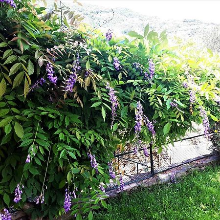 L'Antico Frantoio Villa Rapallo Exterior foto