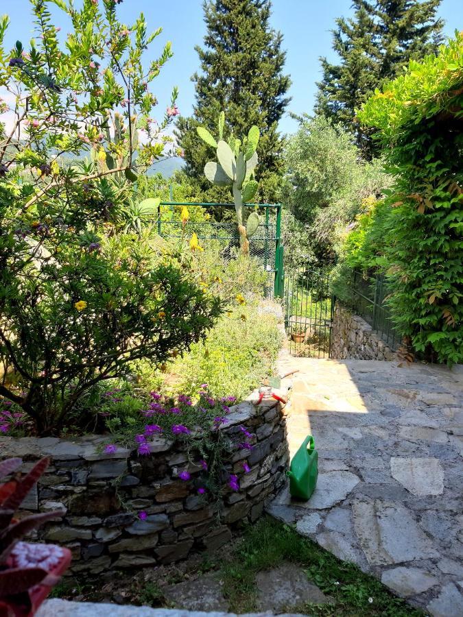 L'Antico Frantoio Villa Rapallo Exterior foto