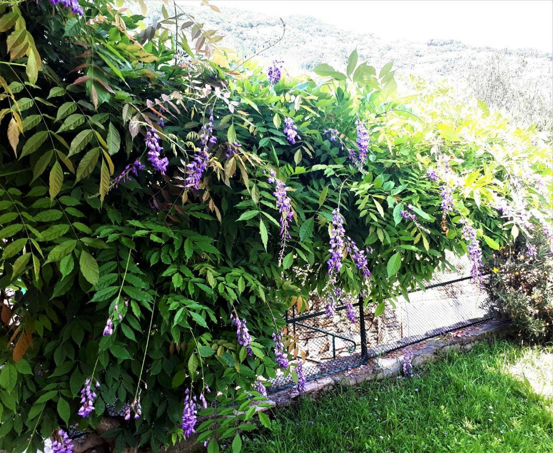 L'Antico Frantoio Villa Rapallo Exterior foto